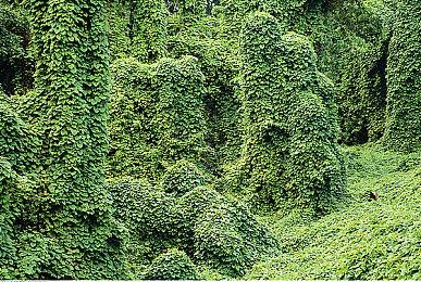 小而美的魂系像素爽游，《塔尼蚀：神之堕落》游戏前瞻